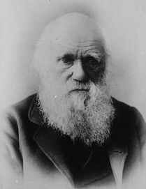 Image for: Charles Darwin: The Descent of Man