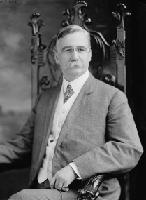 Image for: Dillingham Commission Report