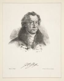 Image for: Johann Wolfgang von Goethe: The Sorrows of Young Werther