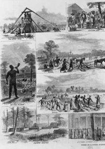 Image for: James Battle Avirett: The Old Plantation