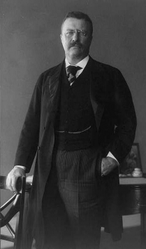 Image for: Progressive Party Platform