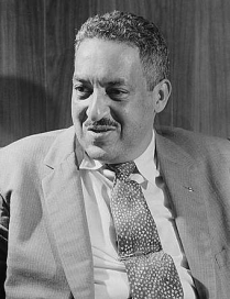 Image for: Thurgood Marshall: Dissent in Florida v. Bostick