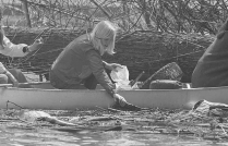 Image for: Clean Water Act